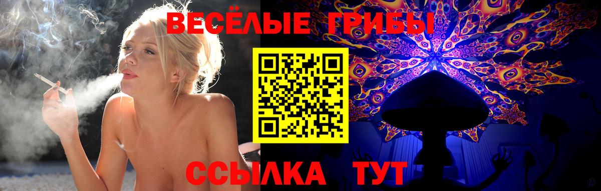 Галлюциногенные грибы GOLDEN TEACHER Острогожск