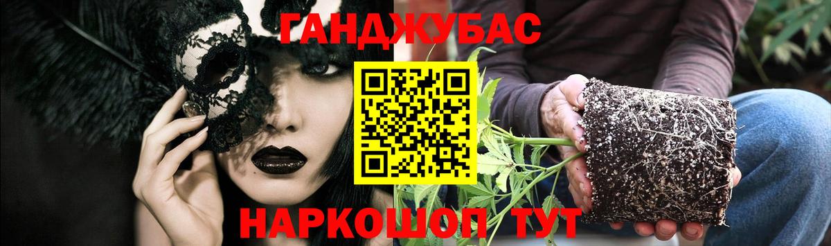 Шишки марихуана планчик Острогожск